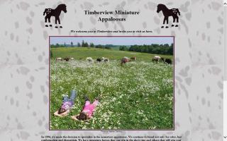 Timberview Miniature Appaloosas
