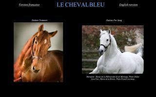 Le Cheval Bleu