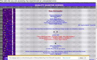 Quality Quarter Horses