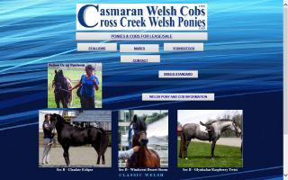 Cross Creek Welsh Ponies / Casmaran Welsh Cobs