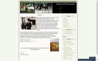 Single Leaf Equestrian Photography