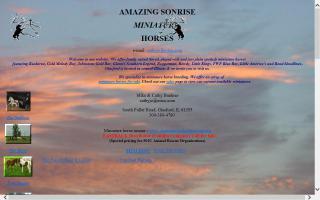 Amazing Sonrise Miniature Horses