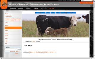 Breeds of Livestock - Horse Breeds