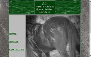 Ribbit Ranch Equine Swim Facility