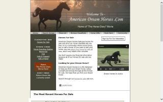 American Dream Horses