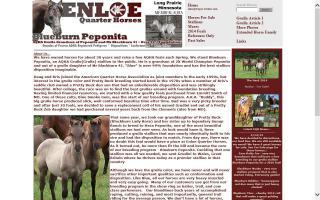 Enloe Quarter Horses