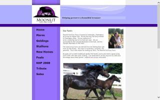Moonlit Fell Pony Farm