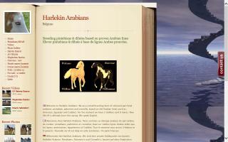 Harlekin Arabians