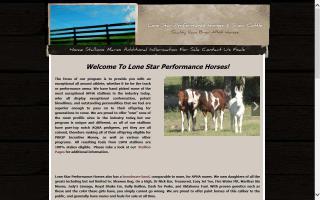 Lone Star Performance Horses