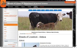 Breeds of Livestock - Azteca