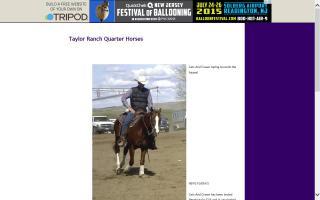 Taylor Ranch Quarter Horses
