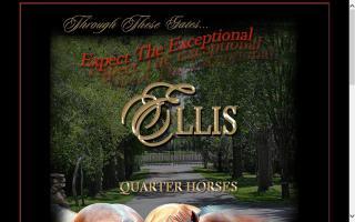 Ellis Quarter Horses