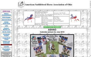 American Saddlebred Horse Association of Ohio - ASHAO
