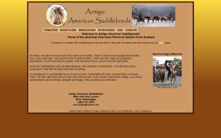 Antigo American Saddlebreds