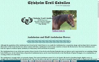 Chisholm Trail Caballos