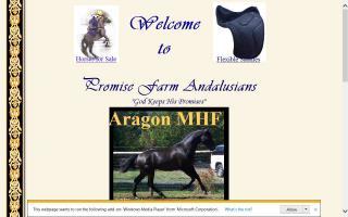 Promise Farm Andalusians