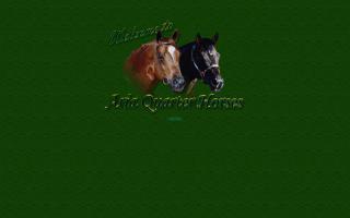 Aria Quarter Horses