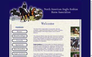 North American Anglo-Arabian Horse Association - NAAAHA