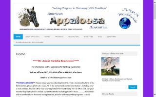 American Appaloosa Association, Inc. - AApA