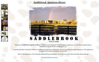 Saddlebrook Appaloosa Horses