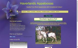 Haverlands Appaloosa Horses