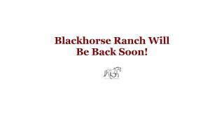 Black Horse Ranch - BHR