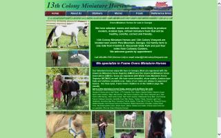 13th Colony Miniature Horses