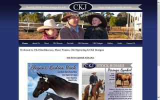 CeeKayJay Stock Horse Stud - CKJ
