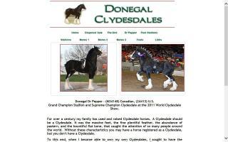Donegal Clydesdales