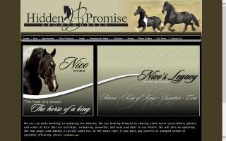 Hidden Promise Sporthorses