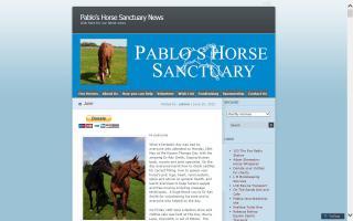 Pablo's Horse Sanctuary
