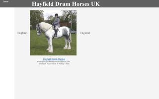Hayfield Drum Horses UK