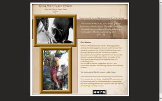 Living Water Equine Services