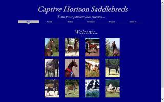 Captive Horizon Saddlebreds