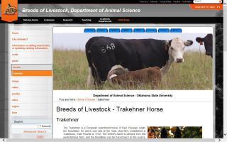 Breeds of Livestock - Trakehner