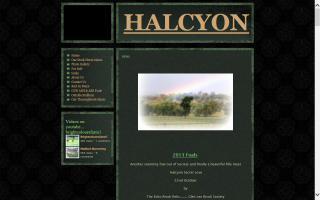 Halcyon Australian Stock Horses