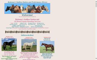 Bedonna's Performance Horses / Bedonna's Stallion Station and Reproduction Services