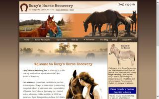 Doxy's Horse Recovery