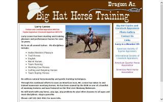 Big Hat Horse Training