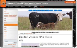 Breeds of Livestock - Shire