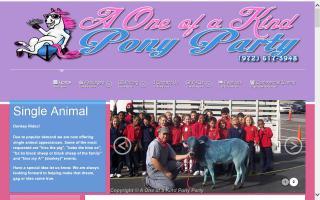 A One of a Kind Pony Party