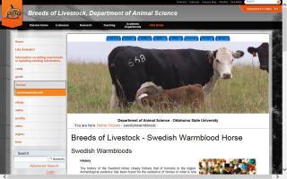Breeds of Livestock - Swedish Warmblood