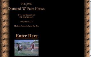 Diamond S Paint Horses