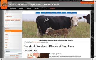 Breeds of Livestock - Cleveland Bay
