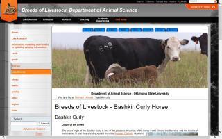 Breeds of Livestock - Bashkir Curly
