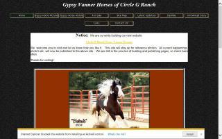 Circle G Ranch Gypsy Vanner Horses