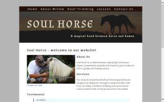 Soul Horse