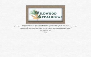 Wildwood Appaloosas