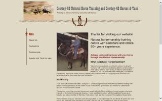 Cowboy-40 Natural Horse Training Center