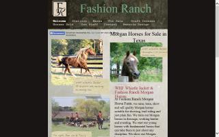Fashion Ranch Morgan Horses